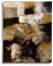 colori001004.jpg